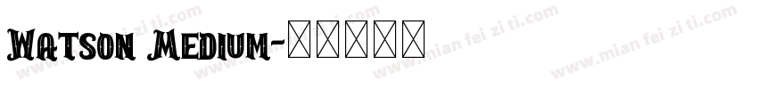 Watson Medium字体转换